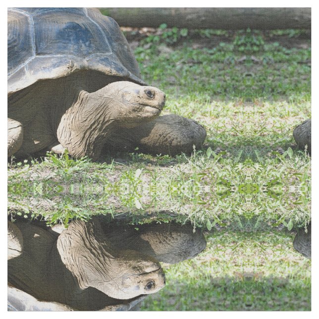 Tecido Wildlife Tortoise Photo (Detalhe)