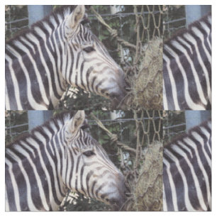 Tecido Zebra