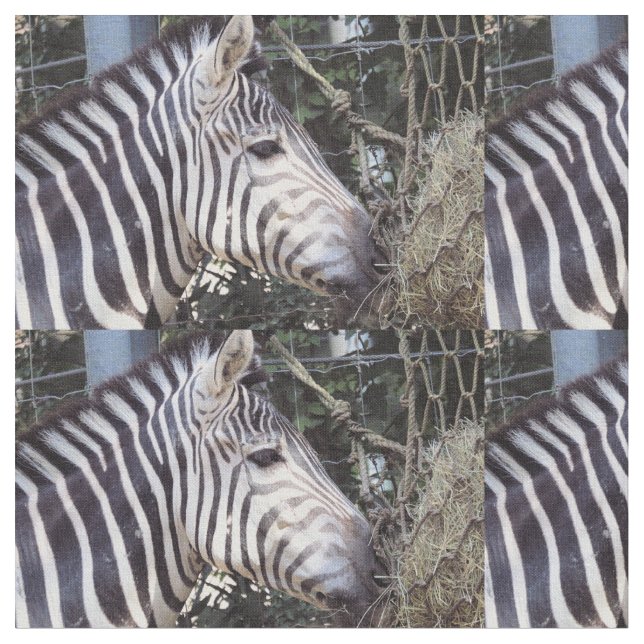 Tecido Zebra (Detalhe)
