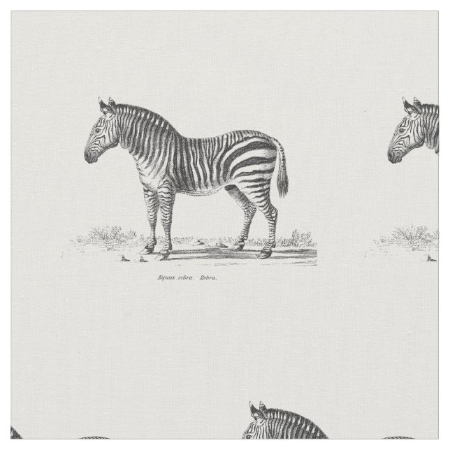 Tecido Zebra do vintage (Detalhe)