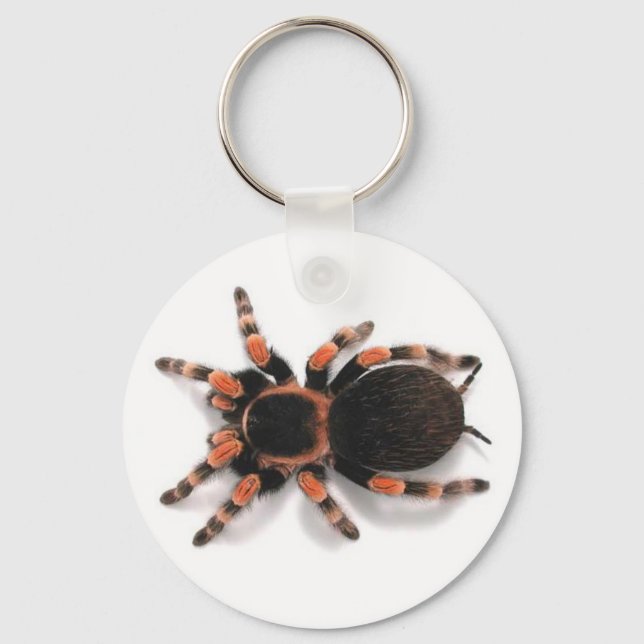 TECLA CHAVEIRO DE ARANHA DE ARANHA TARANTULA (Frente)