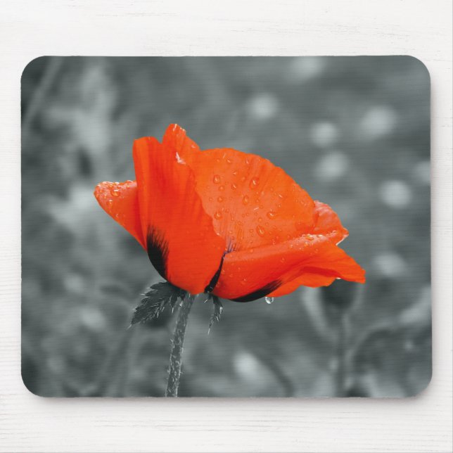 Teclado de cores mousepad papoula (Frente)