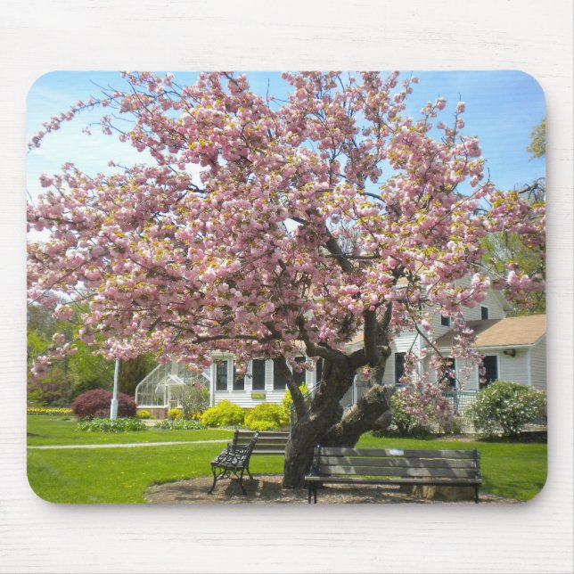 Tecry Blossomo Mouse Pad (Frente)