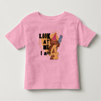 Teddy Bear, tenho 4 Camisetas de aniversário e pre