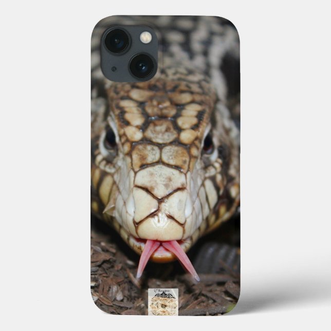 Tegu argentino (Verso)