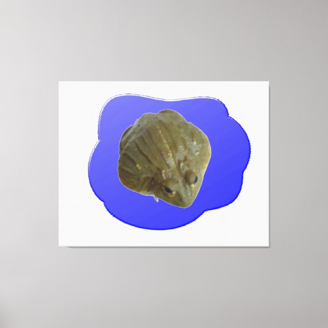 Tela de Massa na Tela de Canvas (Frente)