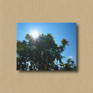Tela O Sol e Seus Raios Sobre uma Árvore Impressão em T