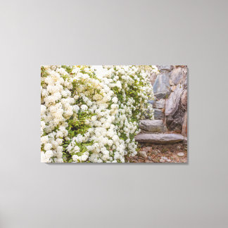 Tela Um arbusto de flor de spirea branca em Impressão e