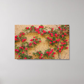 Tela uma rosa sobe em uma parede em impressão de lona e