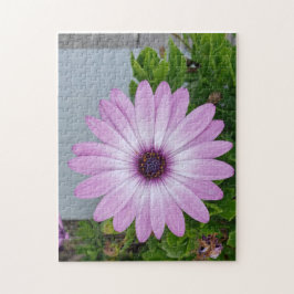 Tem algum tempo na sua mão, quebra-cabeça de flor