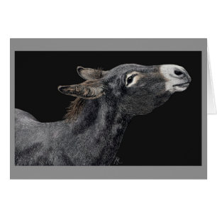 "Tem carrinhos?" - Cartão Donkey