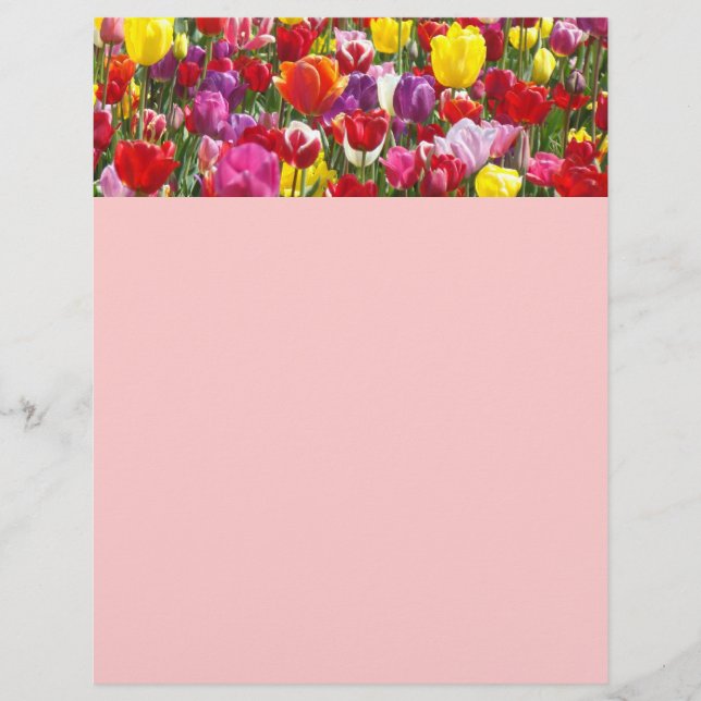 Temas de papel de Flyer de Primavera Tulipa Flores (Frente)