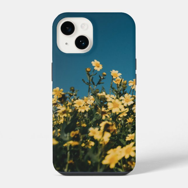 Temas populares de design (como "floral", "mármore (Verso)