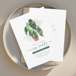 Temos o Anúncio de Movimentação de Cores d'Água