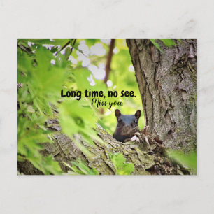 Tempo Longo, Não Ver Cartão Postal