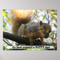 Tenha um dia nojento, Poster de humor de esquilo b