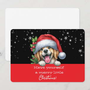Tenha um Feliz Natalzinho Cão Sorridente