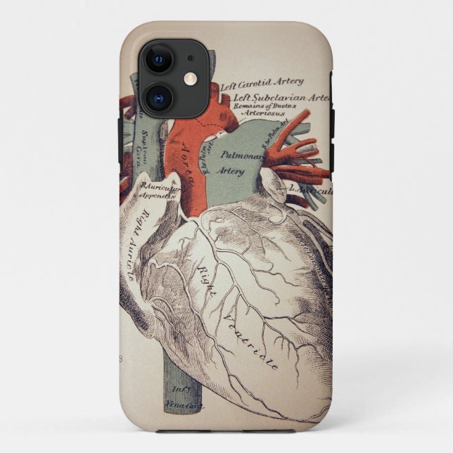 Tenha umas capas de iphone do coração (Verso)