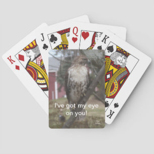 Tenho Olho em Você Cartas de Baralho de Falcão-de-