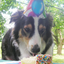"Ter seu bolo e comê-lo também!" Cartão de Férias