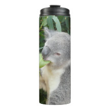Garrafa de Bebida Folha de Goma Comendo Koala