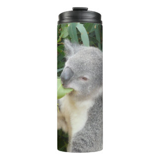 Térmica Garrafa de Bebida Folha de Goma Comendo Koala
