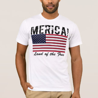Terra de América da camisa livre