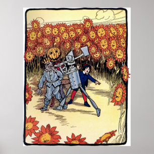 Terra maravilhosa do poster da onça