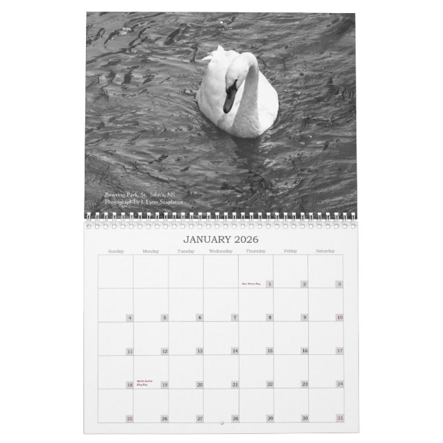 Terra Nova em Imagens: A Calendário 2013 (Jan 2026)