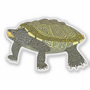 Terrapin - Adesivo de Vinil