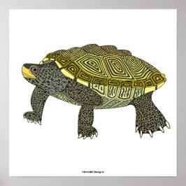 Terrapin (branco) - Impressão de Poster