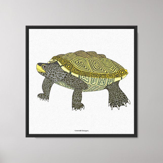 Terrapin (branco) - Impressão em Tela (Frente)