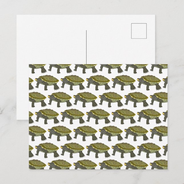 Terrapin (padrão branco) - Cartão postal (Frente/Verso)