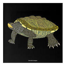 Terrapin (preto) - Impressão Acrílica
