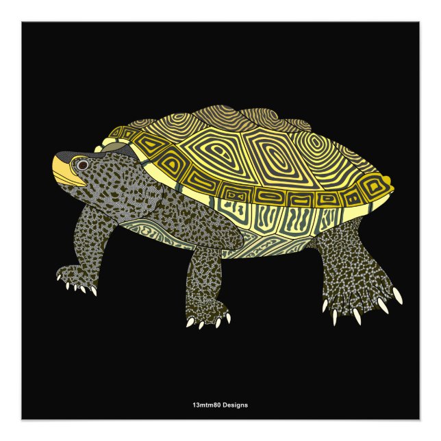 Terrapin (preto) - Impressão de Foto (Frente)