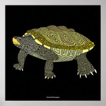 Terrapin (preto) - Impressão de Poster