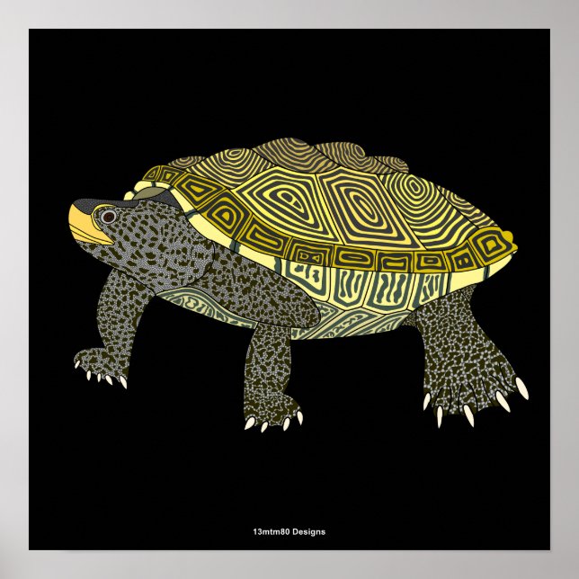 Terrapin (preto) - Impressão de Poster (Frente)