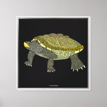 Terrapin (preto) - Impressão em Tela