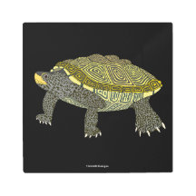 Terrapin (preto) - Impressão Metálica