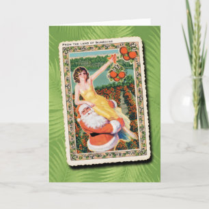 Terreno do Cartão de Natal à Luz do Sol