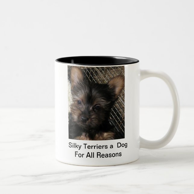 Terrier de seda um cão para toda a caneca do (Direita)