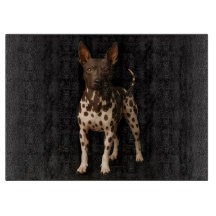 Terrier sem pelo Black 4 Luxe em tábua de corte de