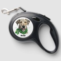 Terrier Vestindo Scarf Cão Retratável Lash