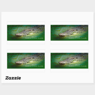 Território Norte Darwin - Adesivos Crocodilo
