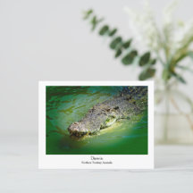 Território Norte Darwin - Cartão postal Crocodilo