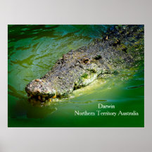 Território Norte Darwin - Poster de Crocodilo