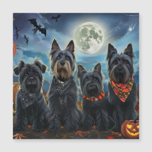 Terrorista de Halloween do Terrier Escocês