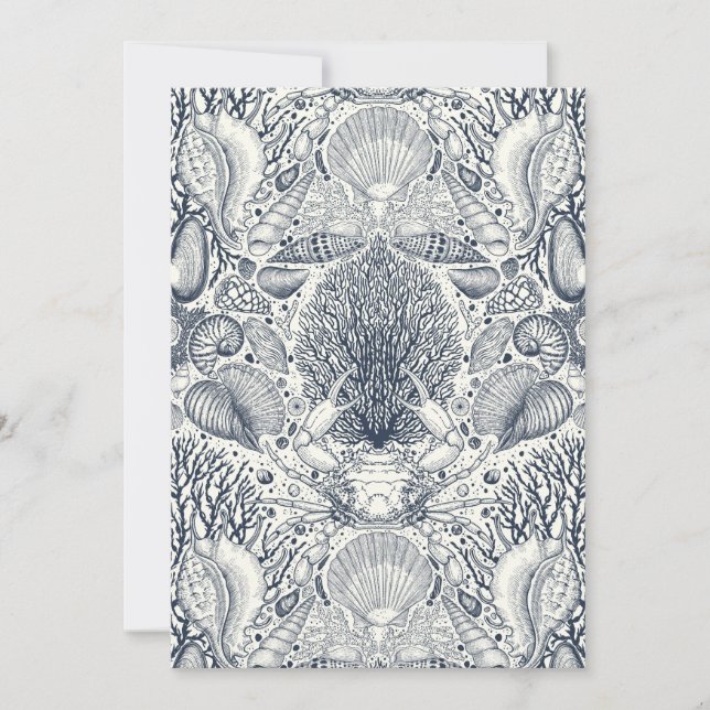 Tesouros de praia, conchas marinhas, caranguejo, c (Frente)