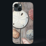 Tesouros em terra firme<br><div class="desc">Megan Meagher é conhecida por suas simples peças de arte. Essa imagem captura a simplicidade dos tesouros da orla, incluindo dólares de areia e conchas em tom pastel. Meagher engloba um fundo de madeira em sua imagem para contrastar esses tesouros. Obtenha este impressão de arte hoje sobre a cor da...</div>