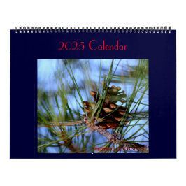 Tesouros encontrados todos os dias. Calendário